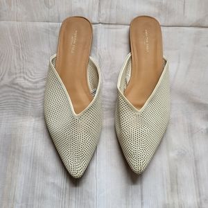 American eagle size 10